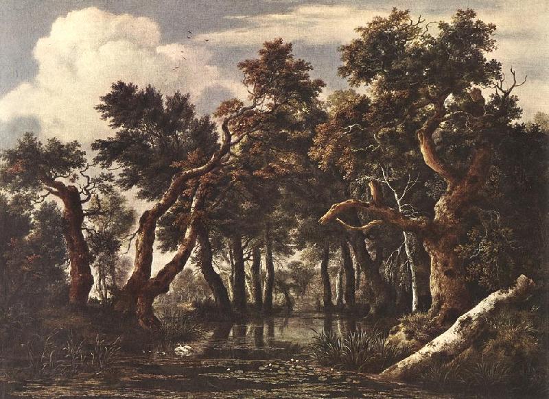 Jacob van Ruisdael The Marsh in a Forest Sweden oil painting art